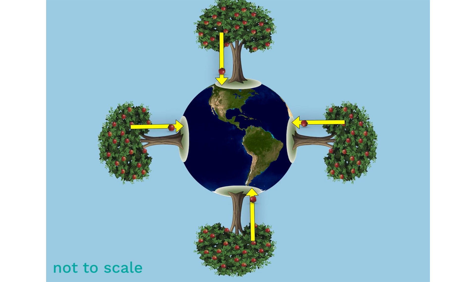 Slide Image