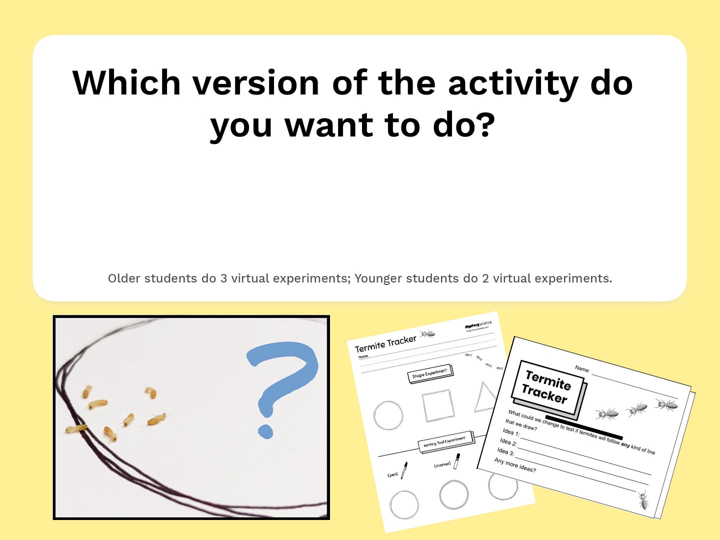 Select Activity
