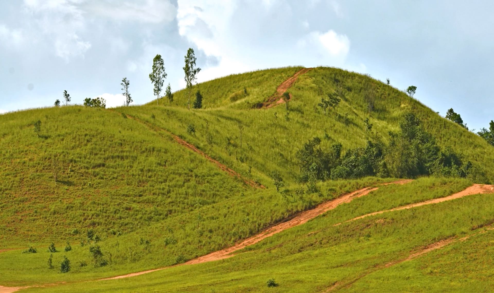 Slide Image