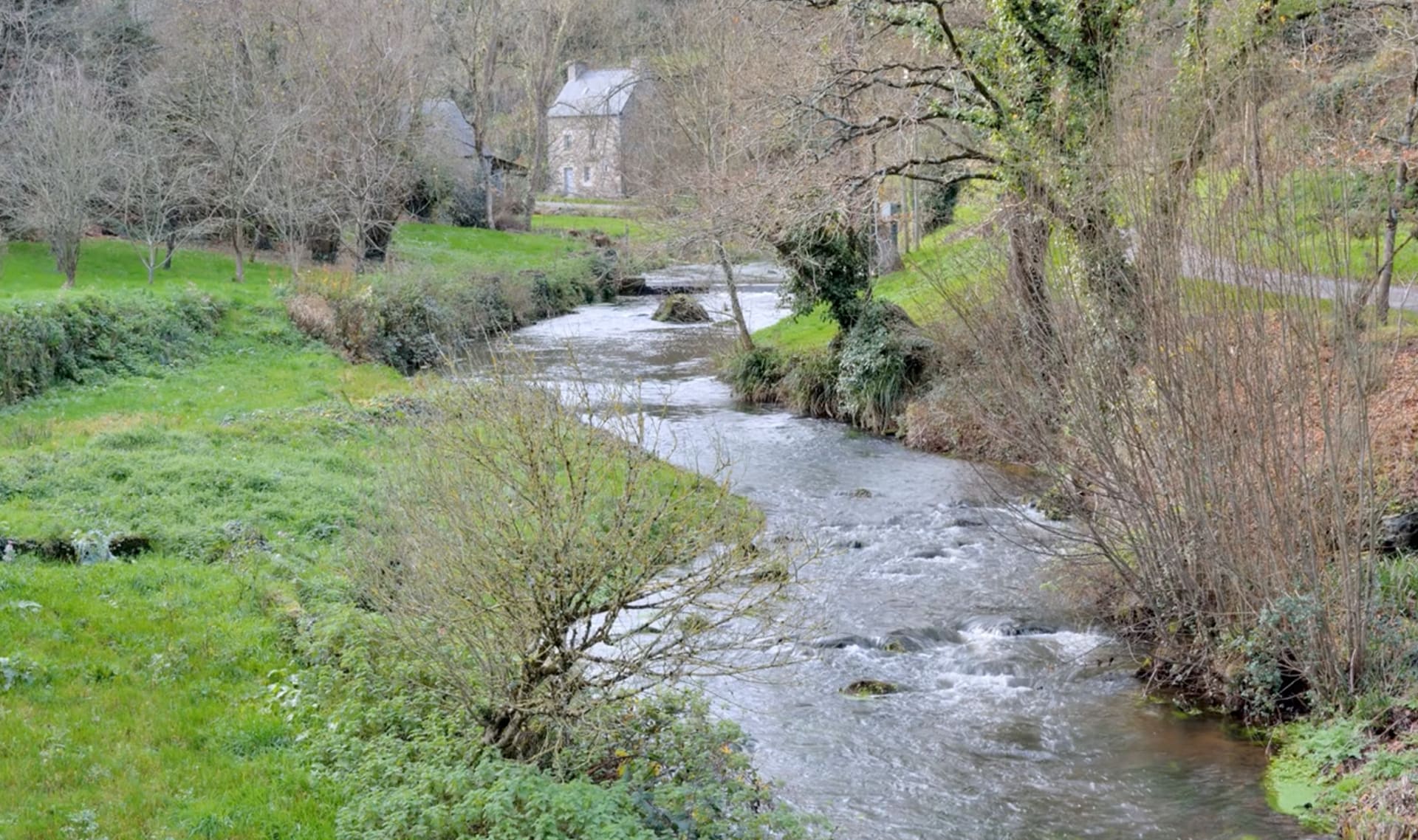 Slide Image