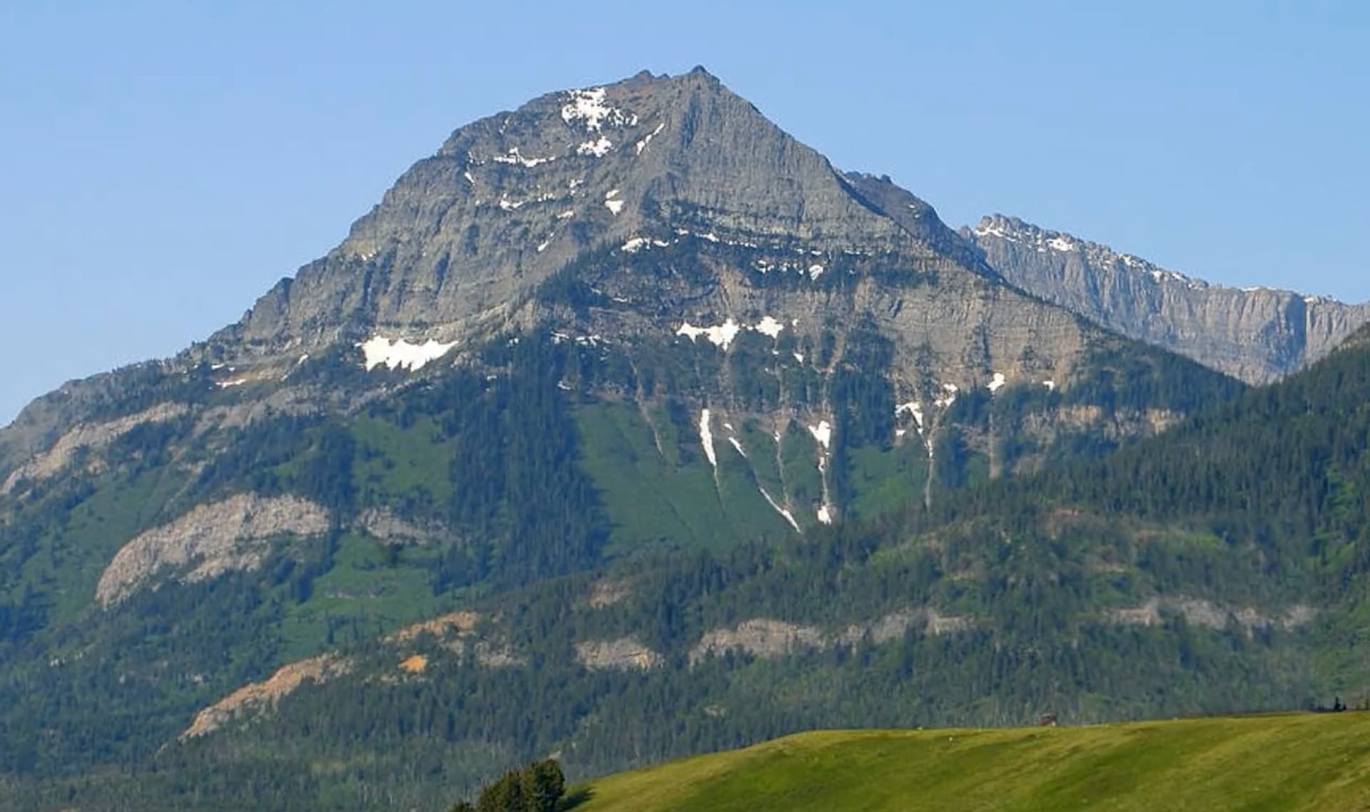 Slide Image